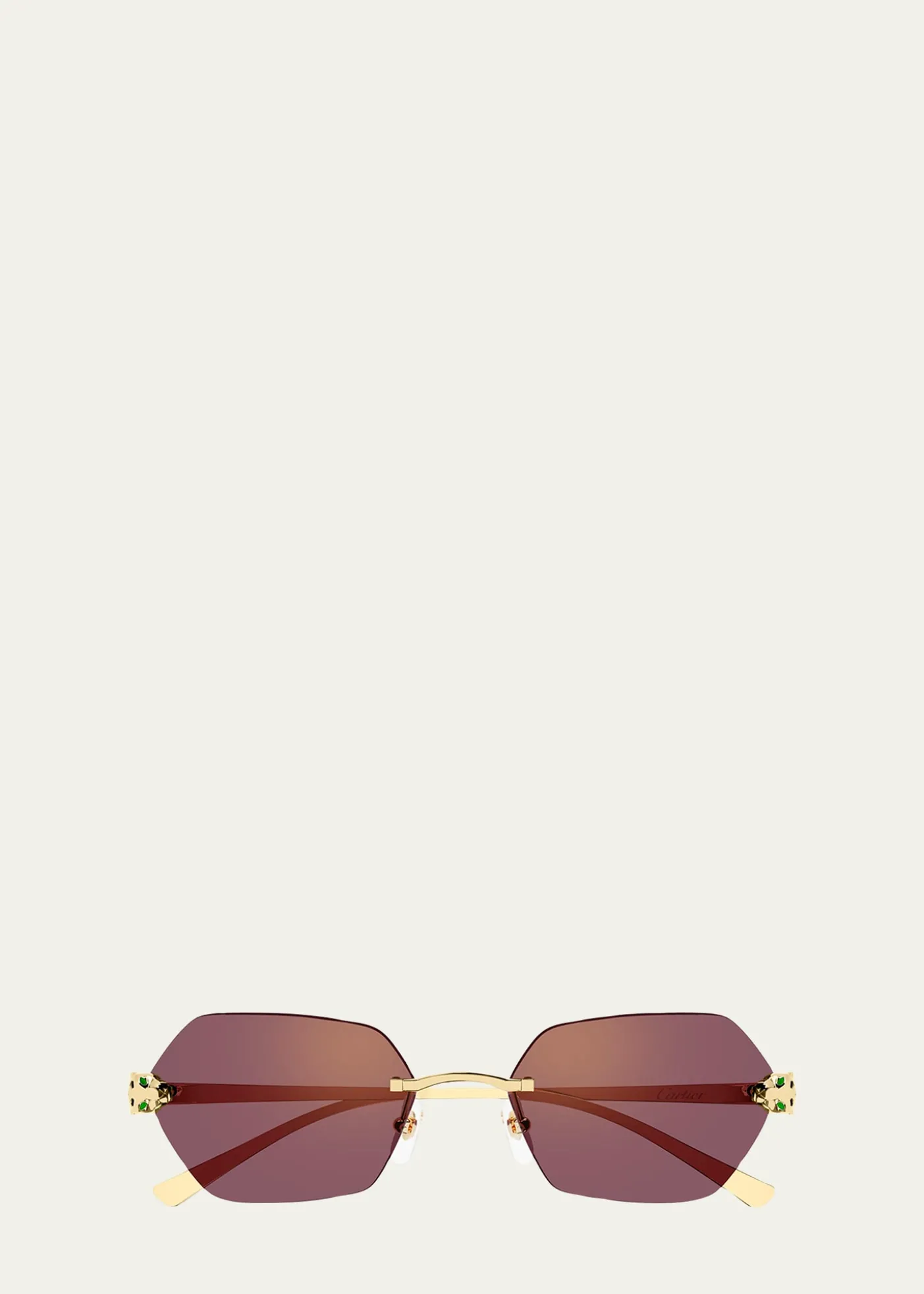 CartierPanthère de Cartier 55mm Geometric Sunglasses