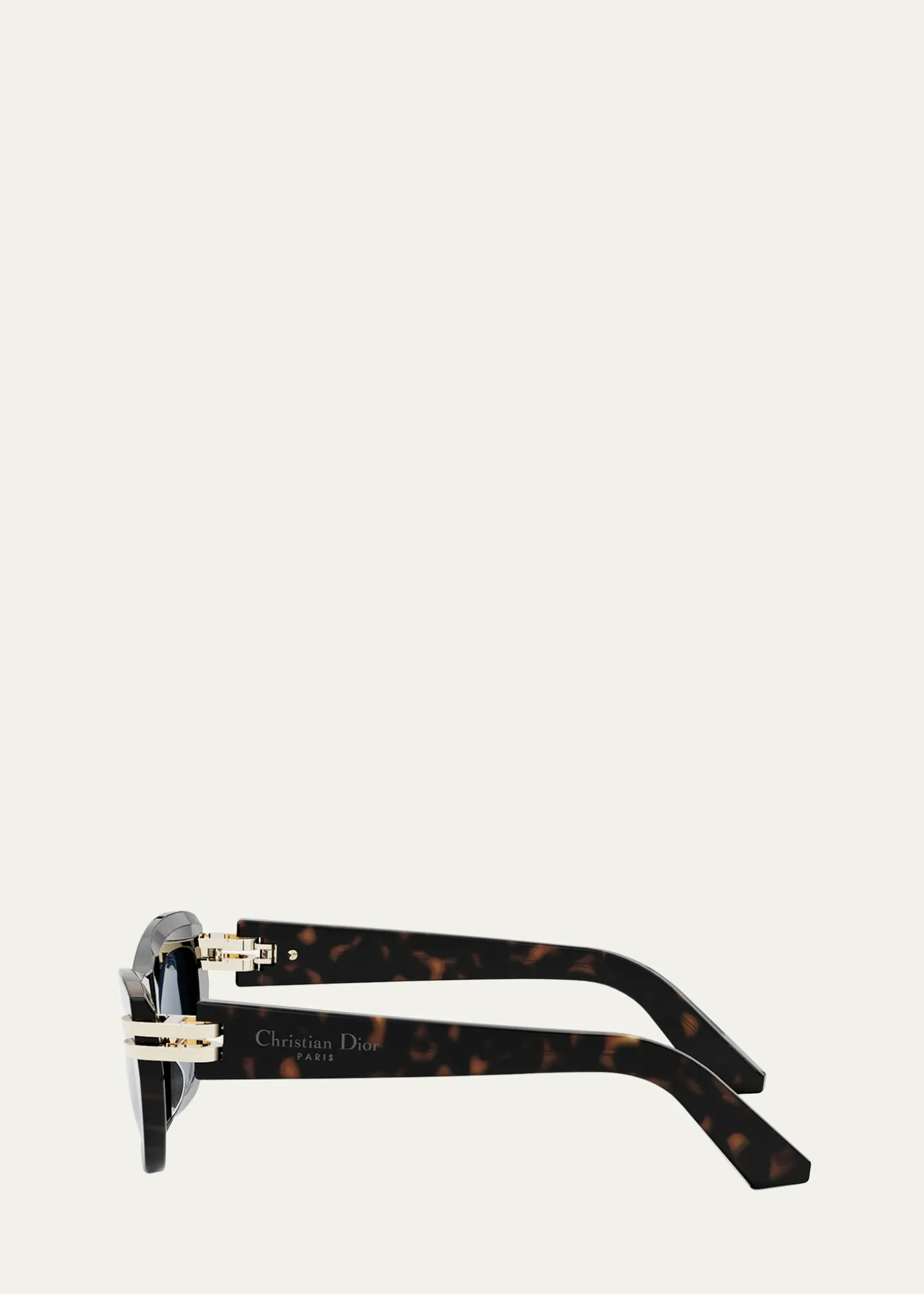 DiorCDior B2U Sunglasses