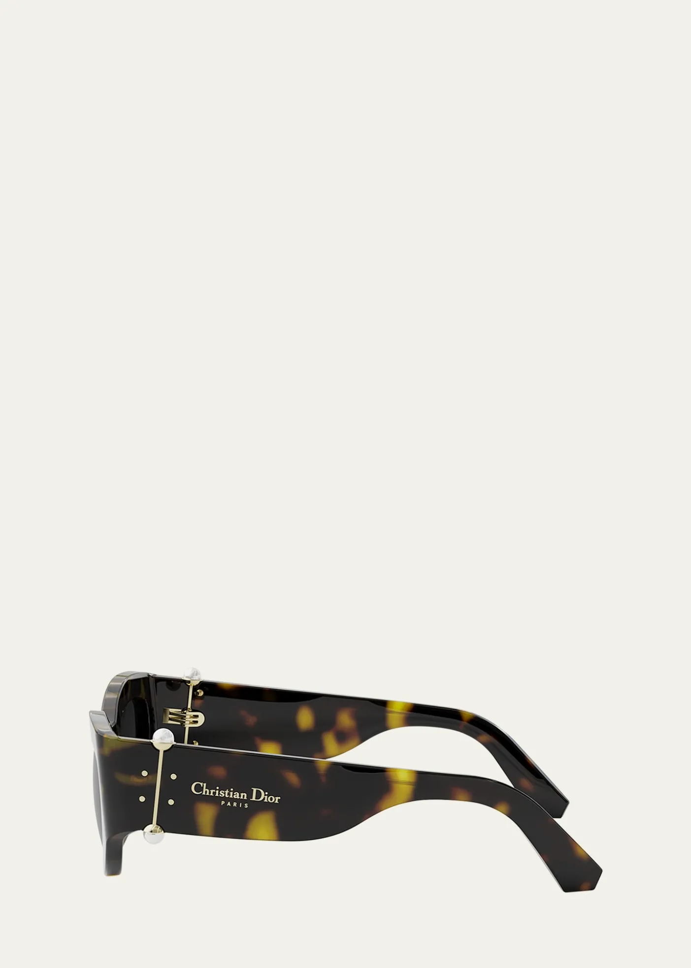 DiorDiorTribales B1I Sunglasses