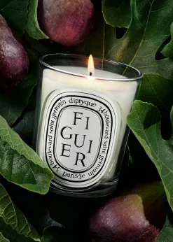 DIPTYQUEFiguier (Fig Tree) Classic Candle, 6.7 oz.