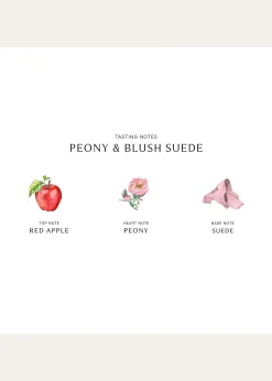 Jo Malone LondonPeony & Blush Suede Scented Candle